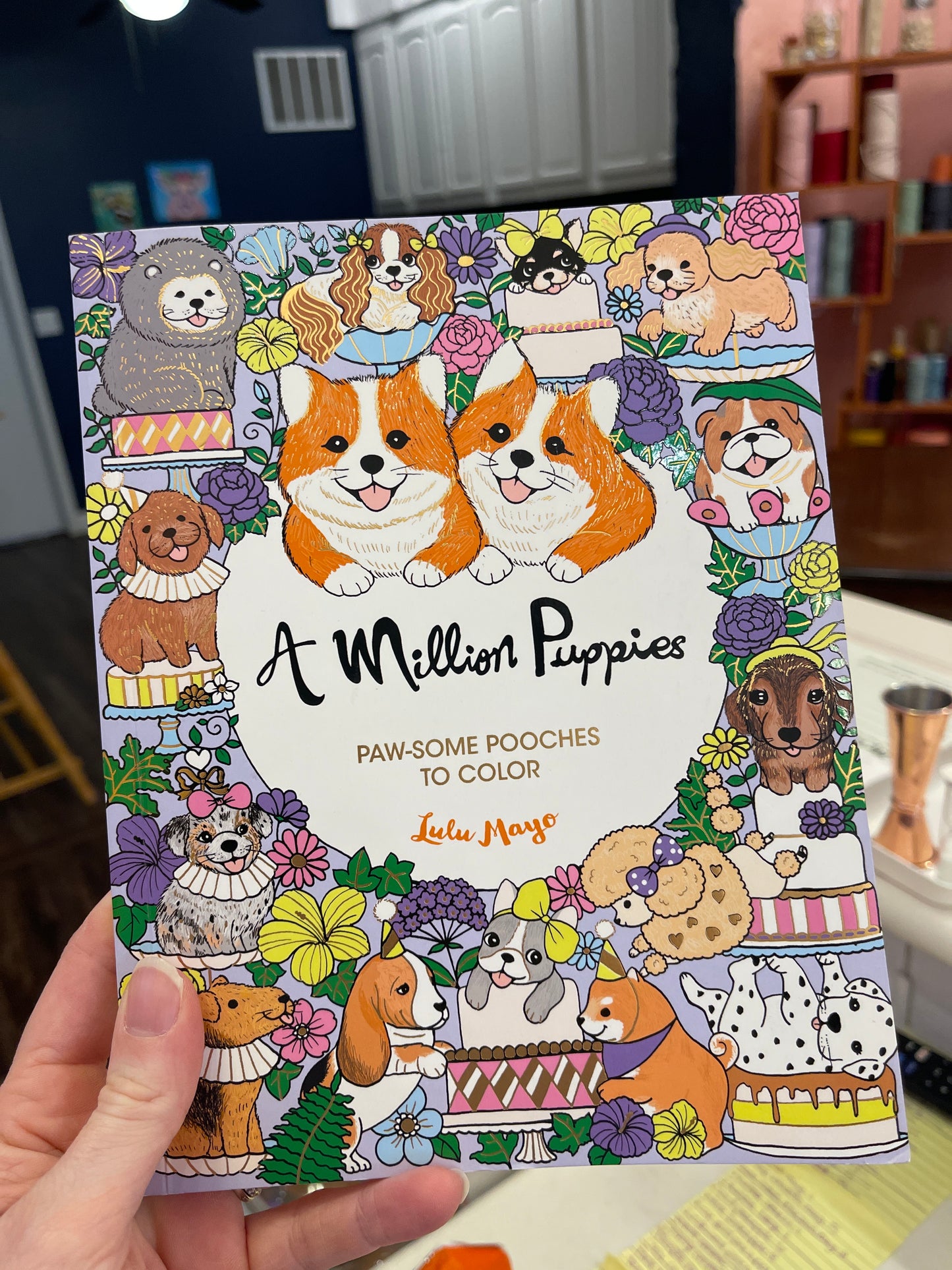 A Million Little Coloring Book