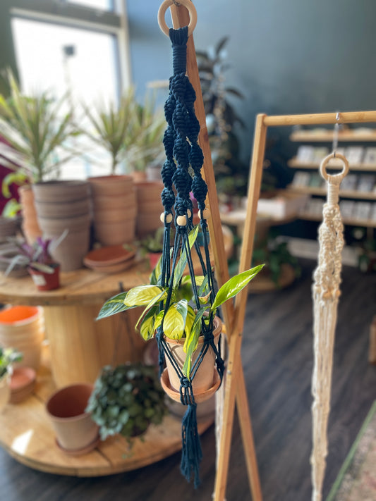 ✨ Macramé Workshop ✨